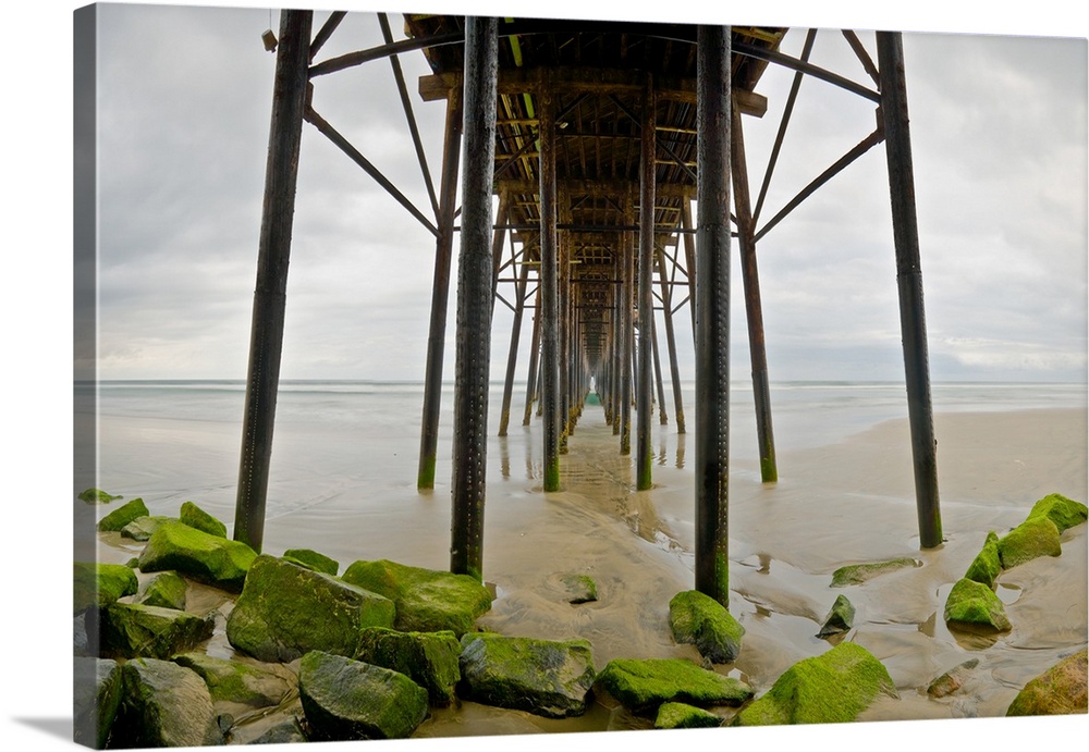 Photograph under Oceanside pier with algae covered rocks at low tide.