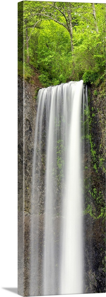 A tall waterfall in a green forest in Oregon.