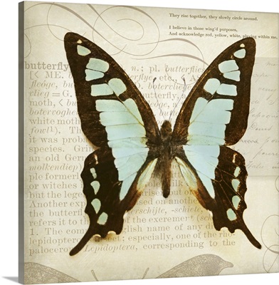 Vintage Butterfly I