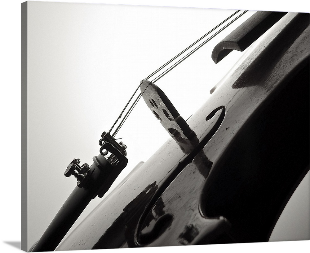 Black and white photograph of a violin close-up on the bridge.
