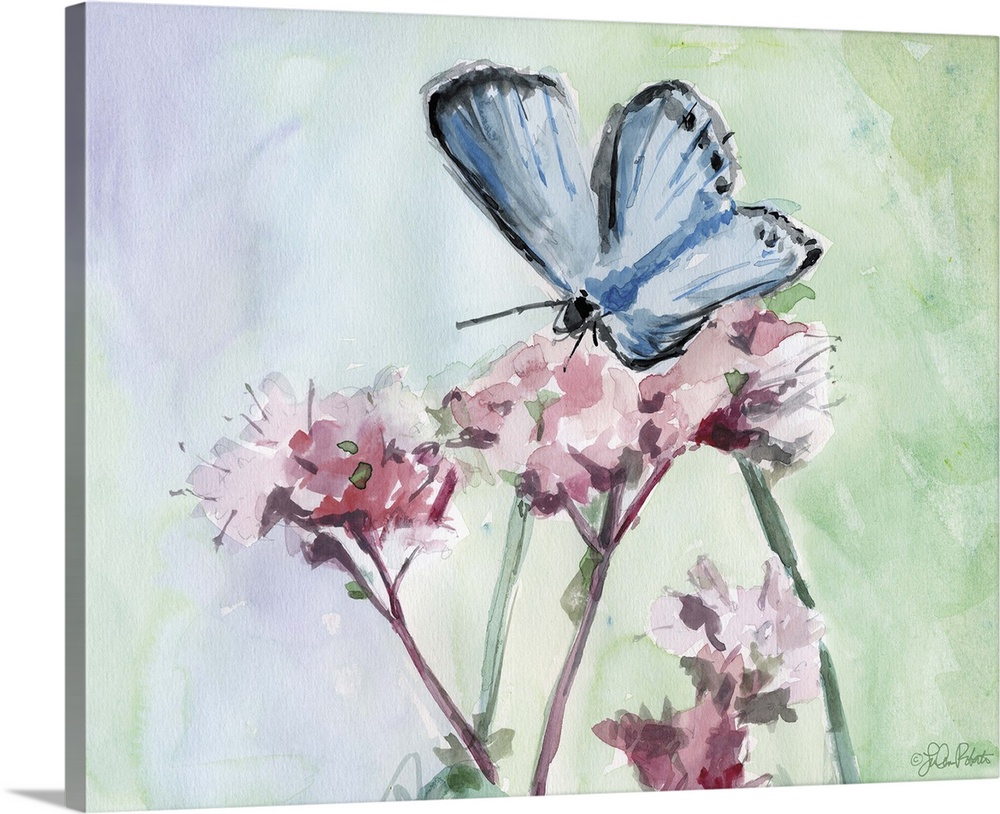Watercolor painting of a blue butterfly on top of pink flowers with a background made up of green, yellow, blue and purple...