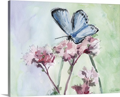 Watercolor Butterfly I