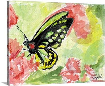Watercolor Butterfly II