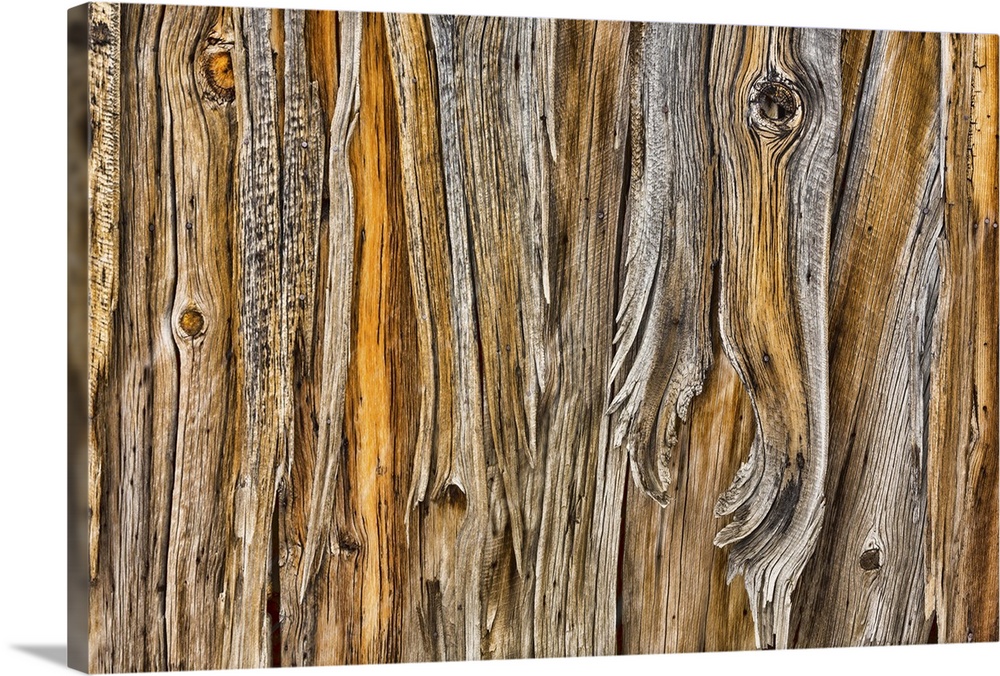 Detail of gnarled old peeling wood.