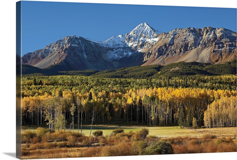 Wilson Peak in the Colorado Rockies near Telluride with yellow and green aspens just after sunrise
