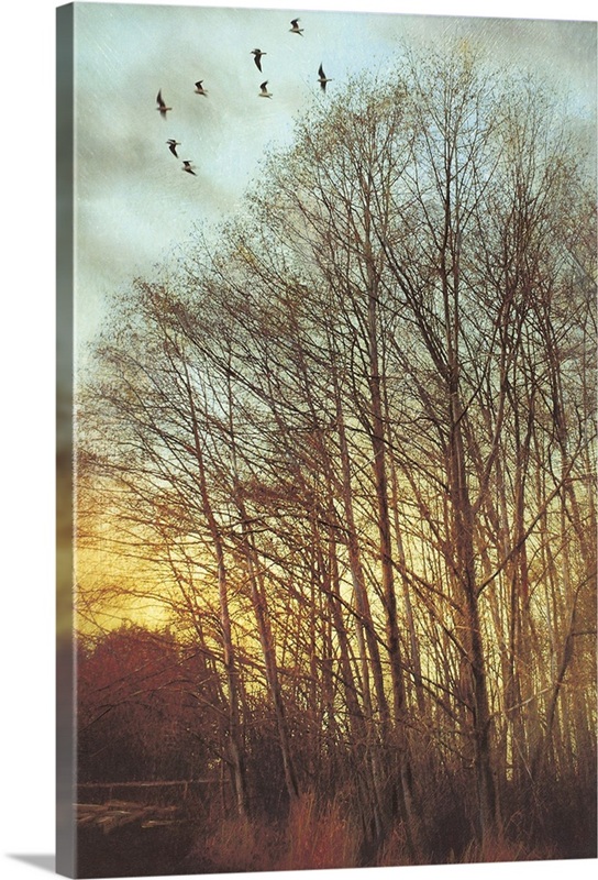 Winter Light II | Great Big Canvas