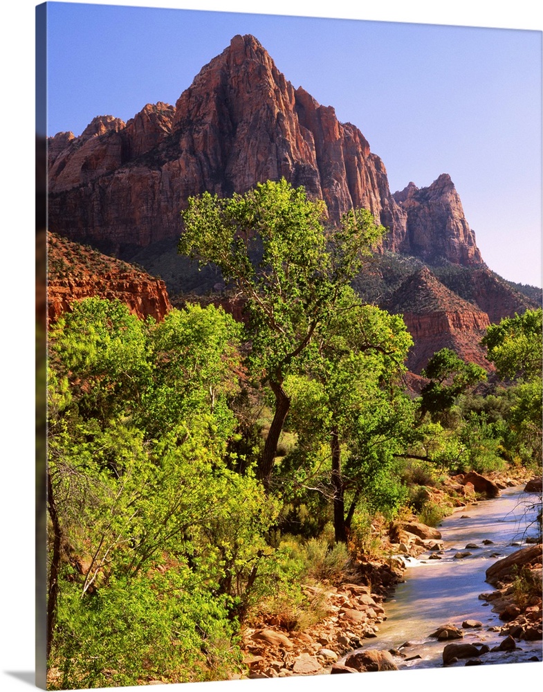 Bright green trees near the red mountains of Zion National Park.