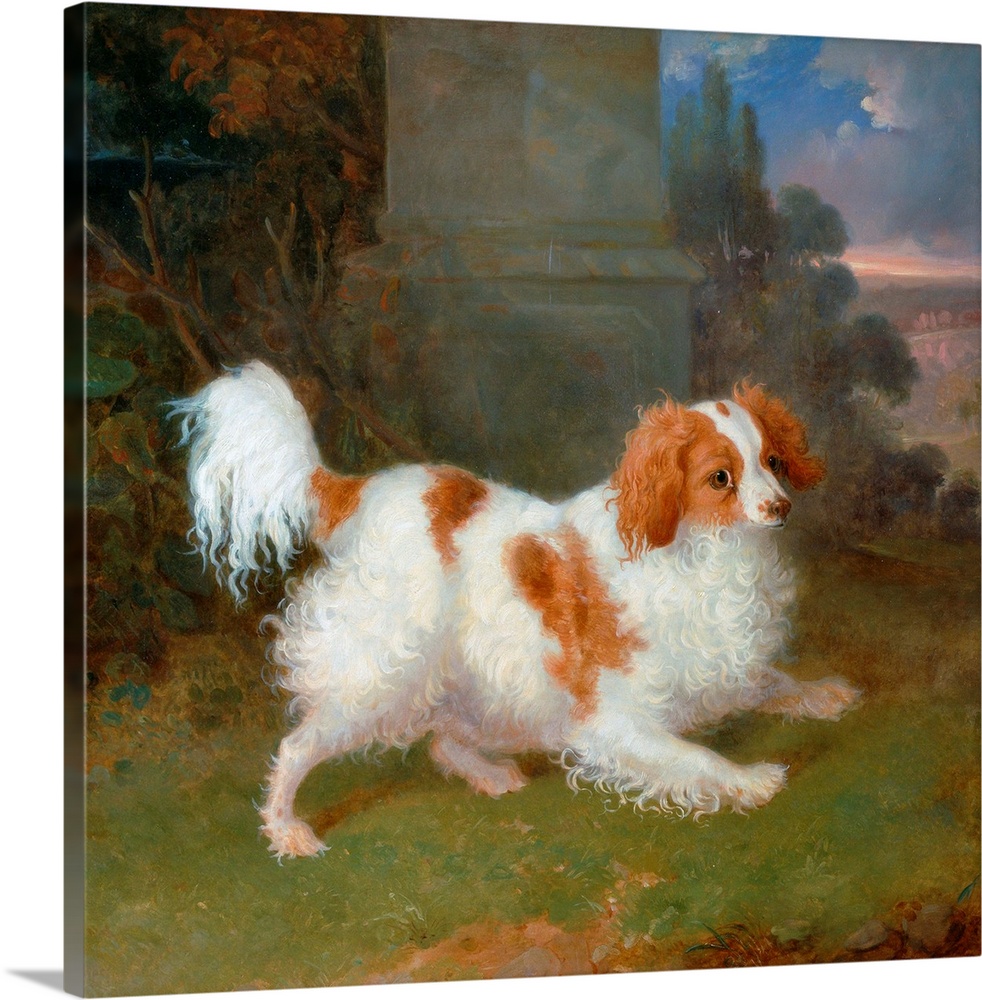 William Webb (British, active 1860-1895), A Blenheim Spaniel, c. 1825, oil on canvas, 64.8 x 73.7 cm (25.5 x 29 in), Yale ...
