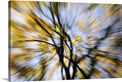 A blurred tree