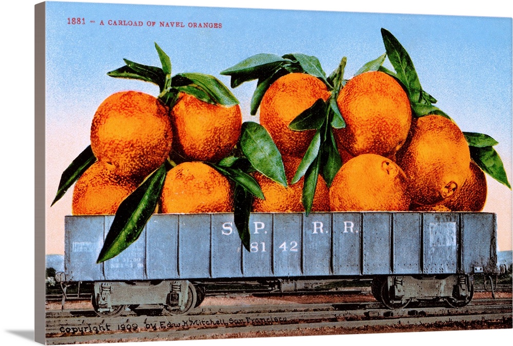 ca. 1909 --- A Carload of Navel Oranges Postcard --- Image by .. K.J. Historical/CORBIS
