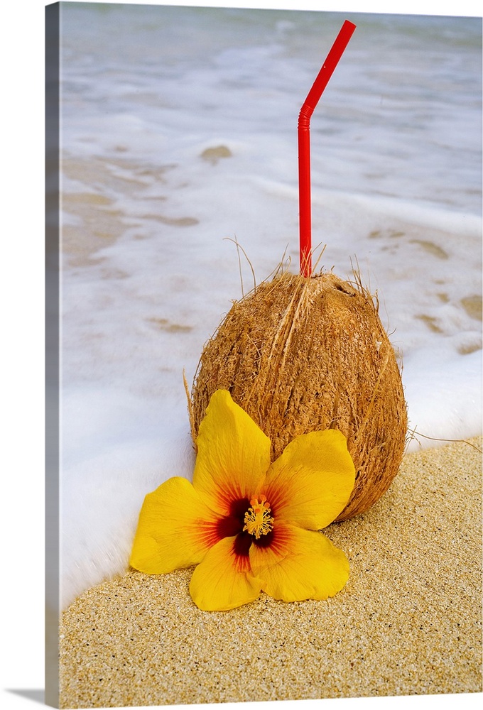 A Coconut Drink with Straw Sticking Out and Flowers on A Tropical Beach. | Large Solid-Faced Canvas Wall Art Print | Great Big Canvas