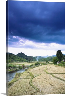 A countryside river flowing through rice fields