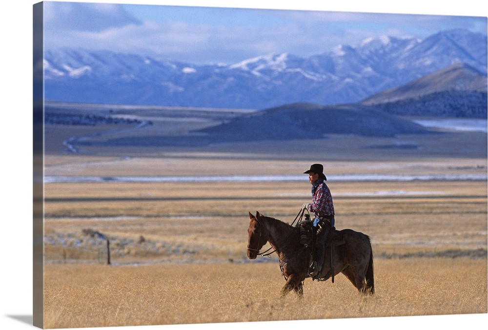 a horizontal image of a cowboy riding his horse in a yellow field alone