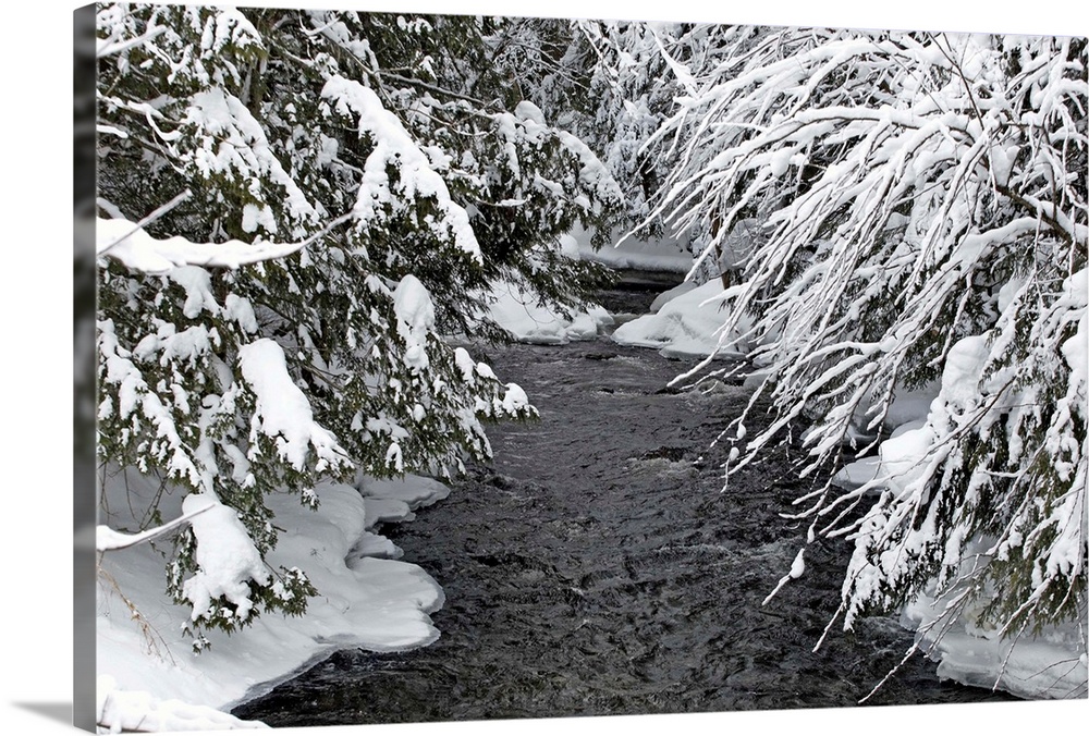 A Creek Running Between Snow-Covered Trees