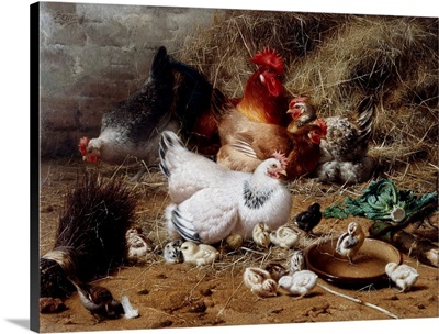 A Family Of Chickens By Eugene Remy Maes
