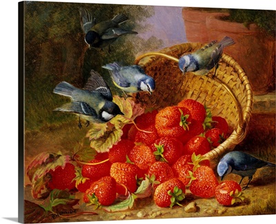 A Feast Of Strawberries (Blue Tits) By Eloise Harriet Stannard