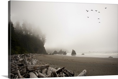 a flock of birds fly over a beach in the fog