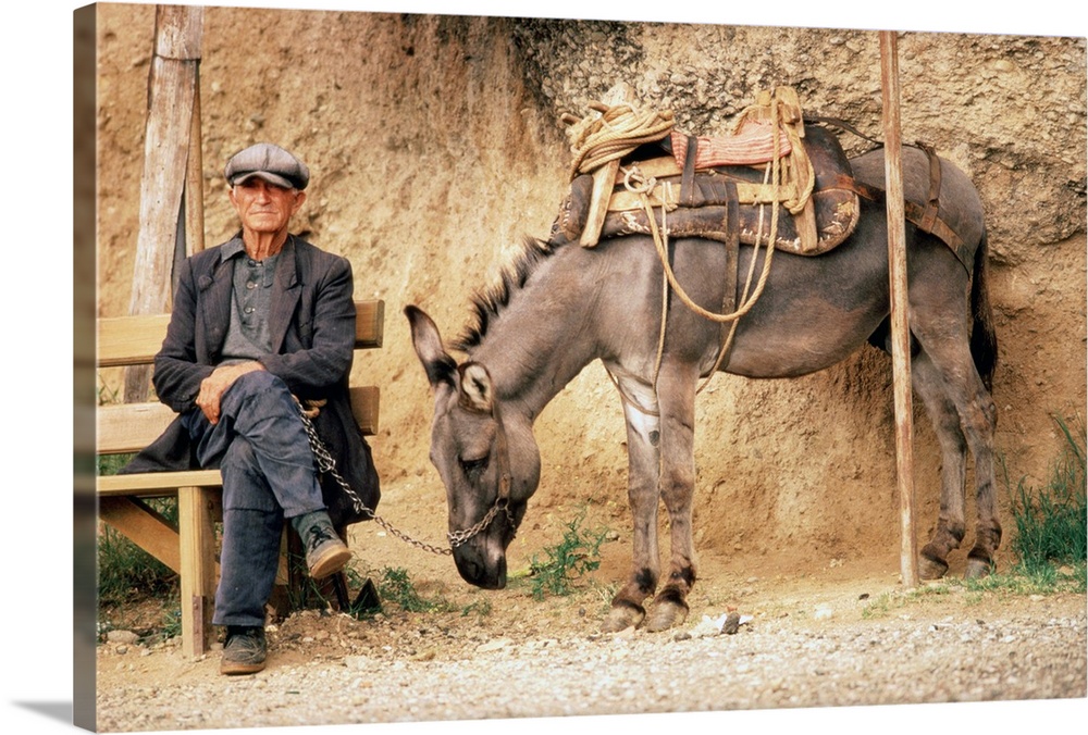 Greece,Meteora,man with donkey