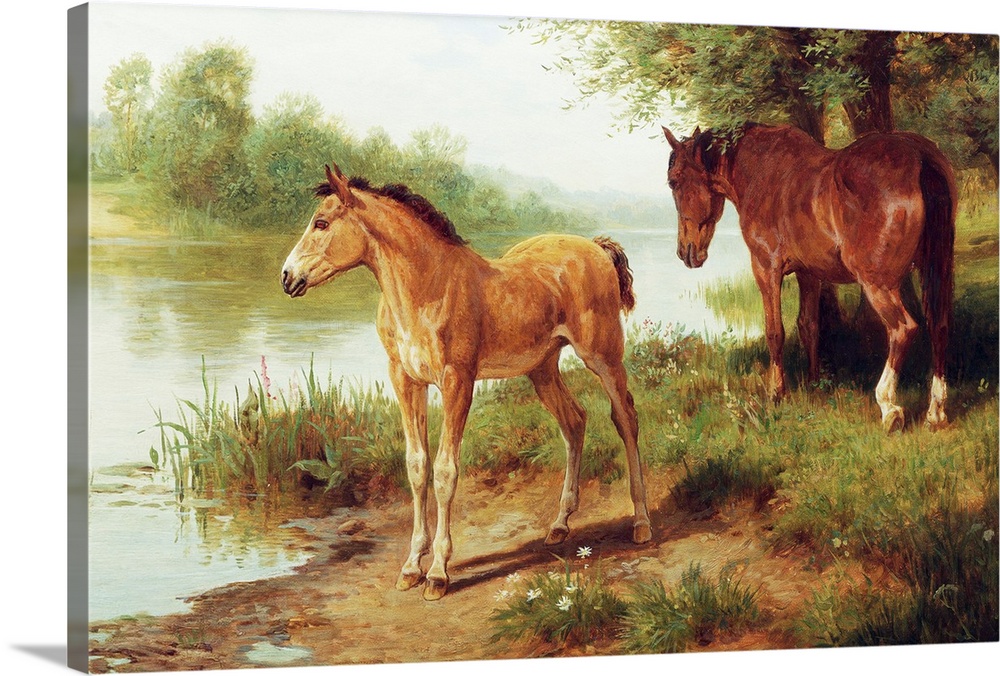 A Mare And Her Foal By Basil Bradley