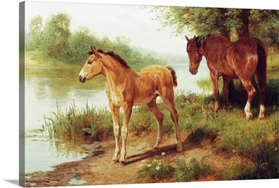 A Mare And Her Foal By Basil Bradley