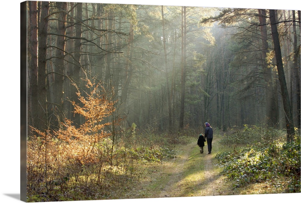 A woman and a little girl in December forest, Western Ukraine, walking through the sunbeams. This capture was made in avai...