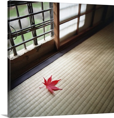 A red maple leaf inside a house, Japan