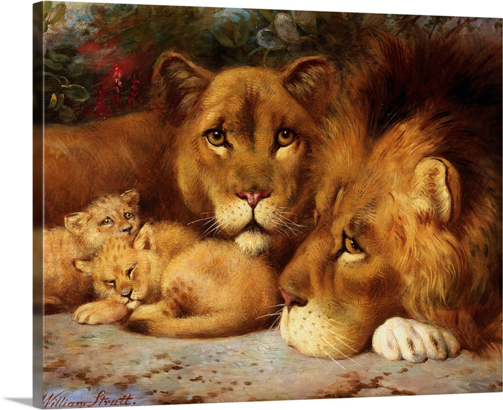 A Royal Family of Lions