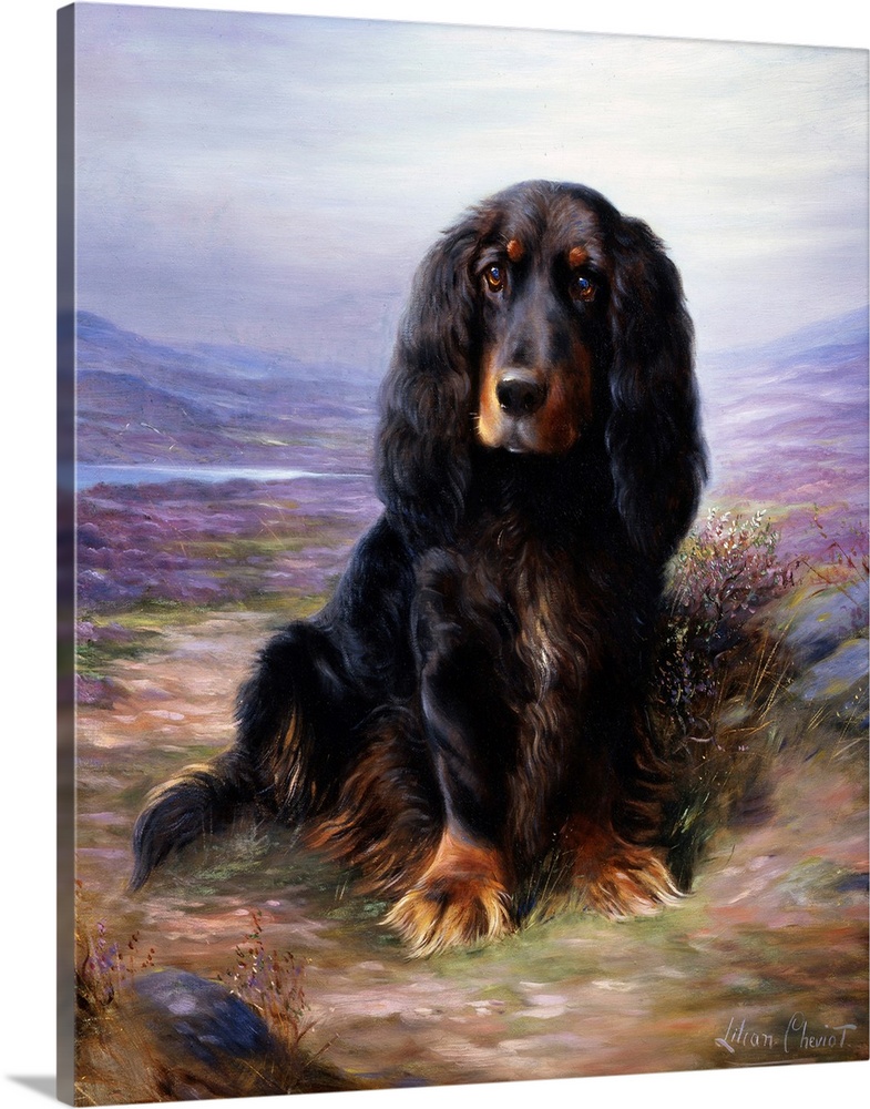 A Spaniel In The Highlands By Lilian Cheviot