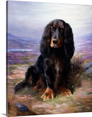 A Spaniel In The Highlands By Lilian Cheviot