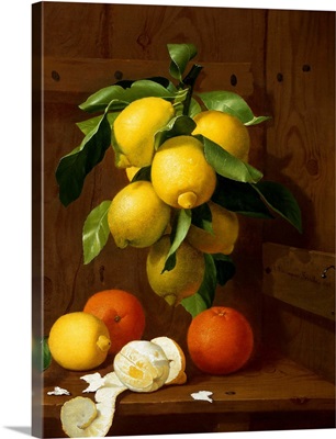 A Still Life Of Lemons And Oranges
