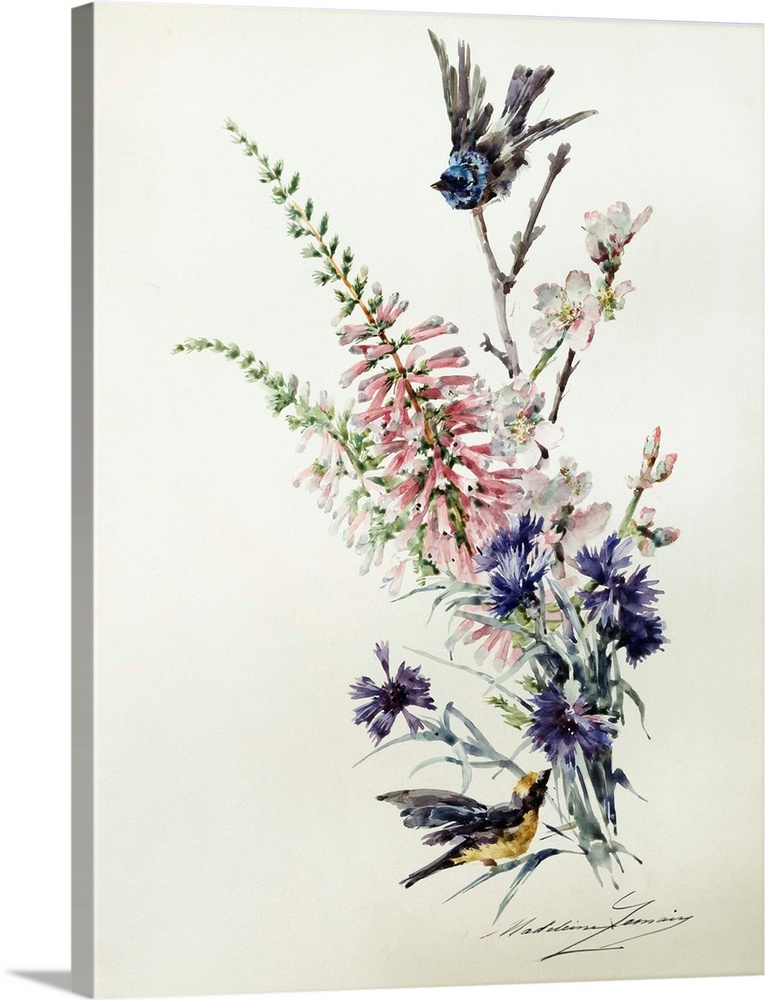 A Study Of Heather, Cornflower, And Blossom By Madeleine Lemaire