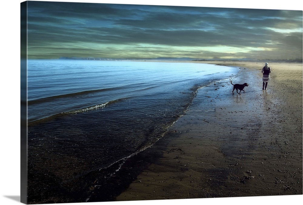 Walking our Labrador dog on  the beach