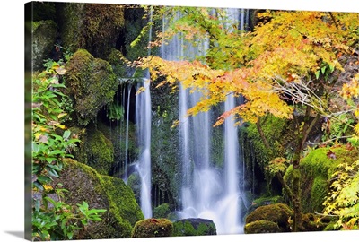 A Waterfall In A Japanese Garden In Autumn