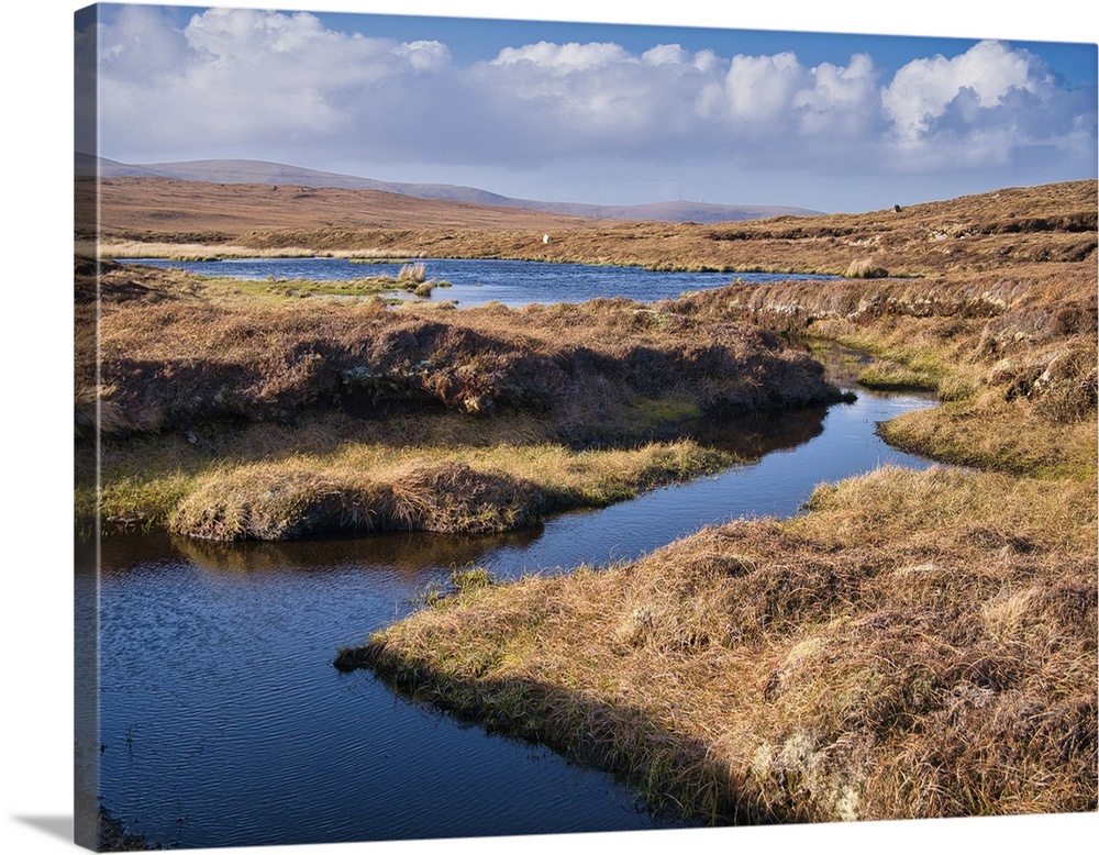 A wetland area forming peat near Eshaness, Northmavine on Mainland, Shetland, UK. Taken on a sunny day with blue sky and w...