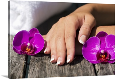 A womans right hand in between purple orchids