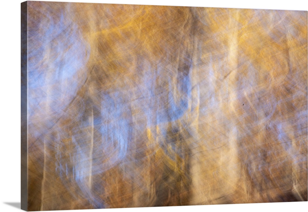 Abstract landscape using long exposure and intentional camera movement shows vibrant autumn colors golden hour sunlight wi...