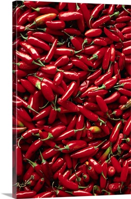 Abundance Of Red Chilies