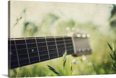 Acoustic guitar neck in country meadow.