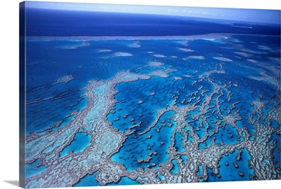 Aerial of Hardy Reef near Whitsunday Islands