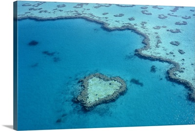 Aerial of heart-shaped reef at Hardy Reef, near Whitsunday Islands