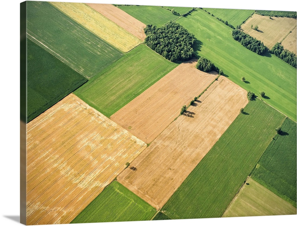 Aerial View, Agricultural Fields