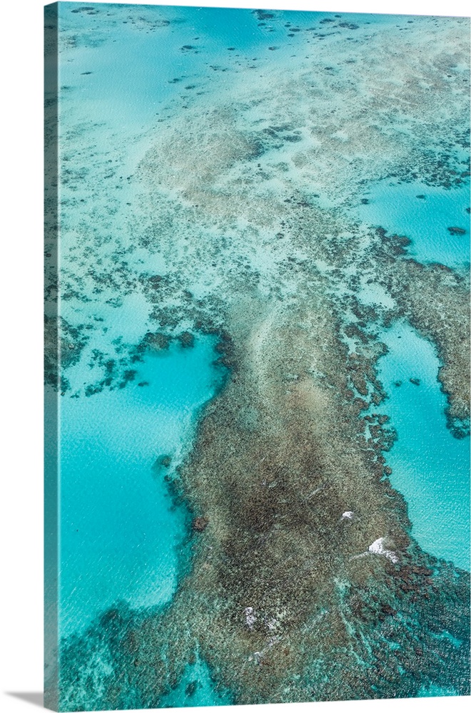 The Great Barrier Reef , the largest reef system in the world.