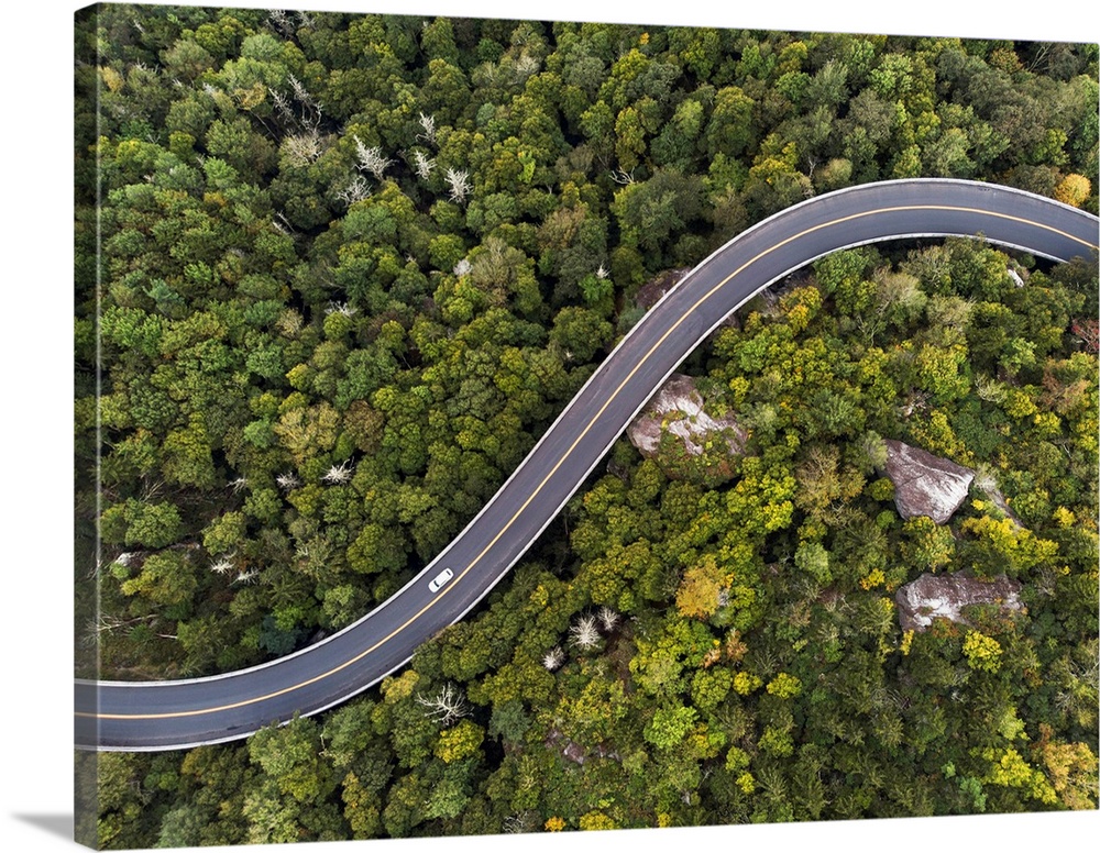 Aerial view of a road winding through a forest.