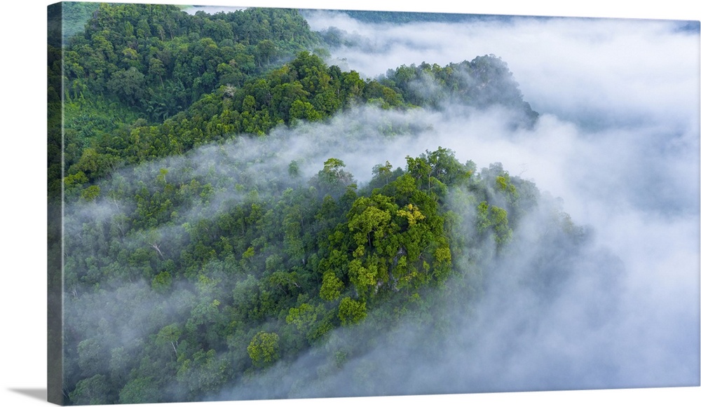 Aerial view of morning mist at tropical rainforest mountain, background of forest and mist, aerial top view background for...