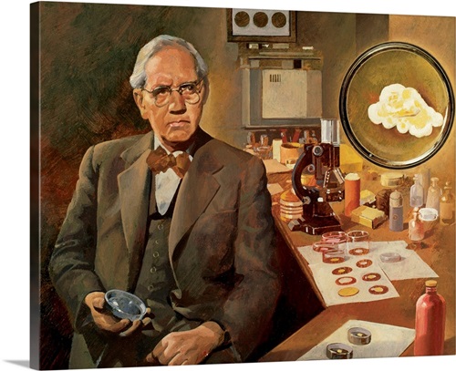 Alexander Fleming (1881-1955), British microbiologist | Great Big Canvas