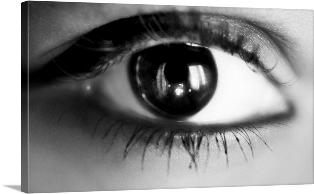 macro eye girl in black and white.