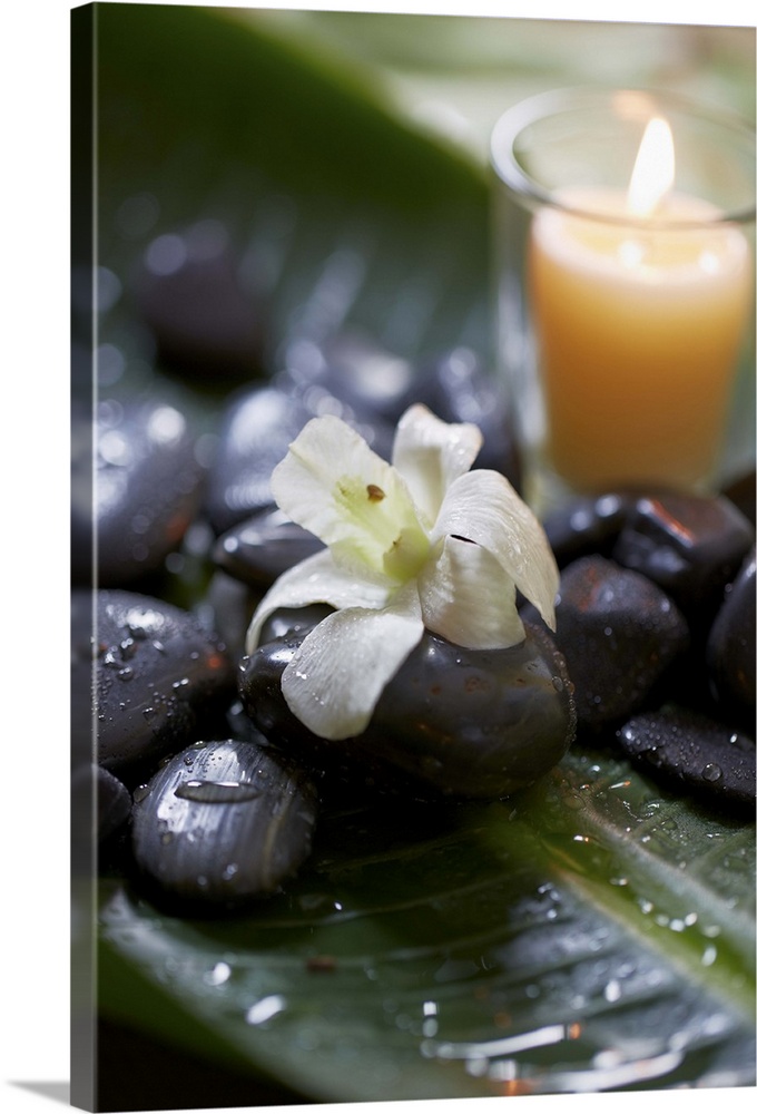 orchids on massage stones with candle in zen atmosphere