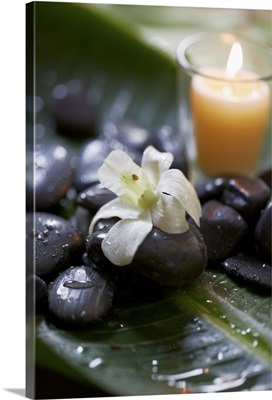 An orchid on a massage stone with a candle in zen atmosphere