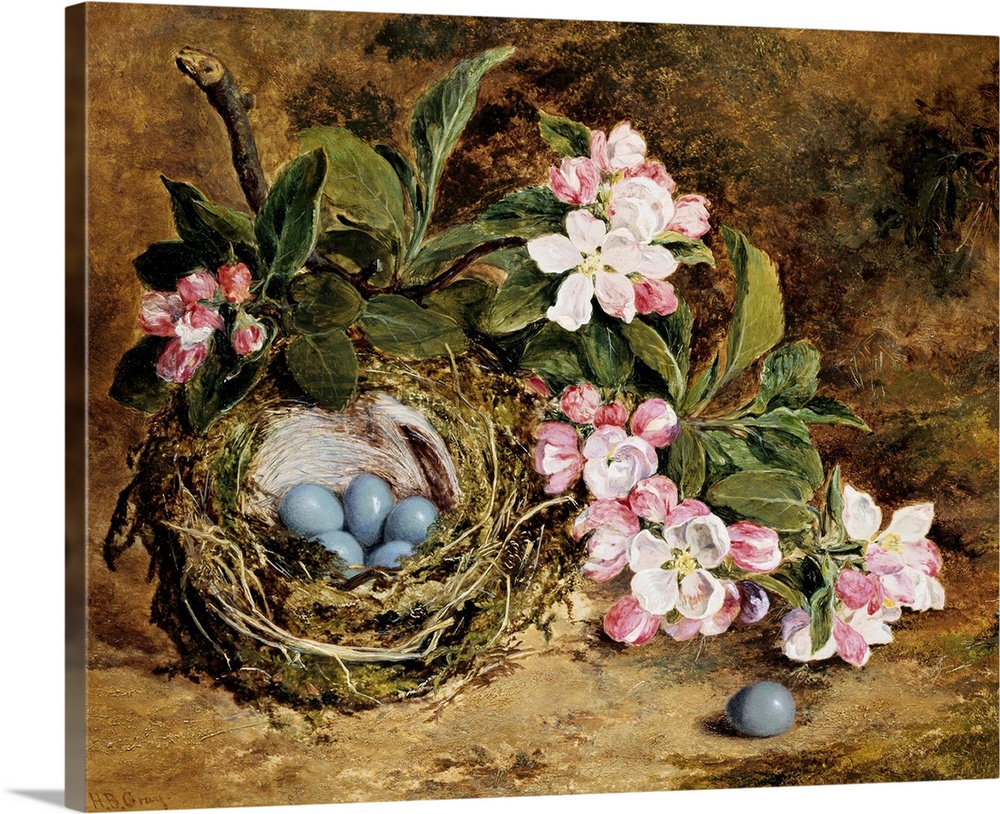 Apple Blossom And A Bird'S Nest