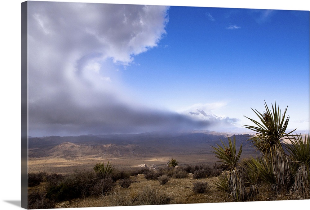 A storm is approaching over the desert in Joshua Tree National Park. From the top of Ryan Mountain, Joshua Tree National P...